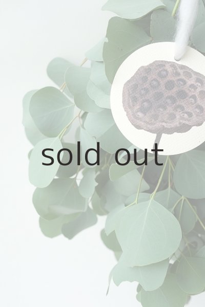 画像3: Dry plants for decor ユーカリポポラスシンプルスワッグ (3)