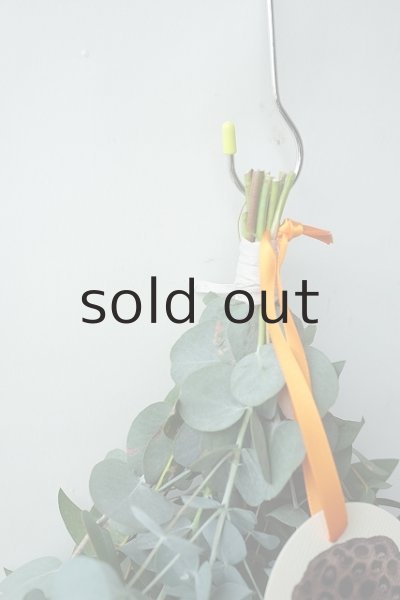 画像2: Dry plants for decor ユーカリ2種シンプルスワッグ (2)