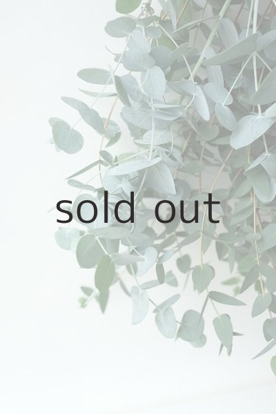 画像4: Dry plants for decor ユーカリ2種シンプルスワッグ (4)