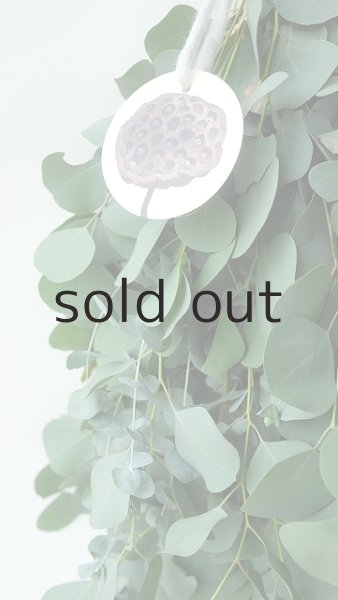 画像3: Dry plants for decor ユーカリ2種シンプルスワッグ (3)