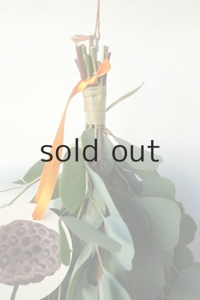 画像2: Dry plants for decor ユーカリポポラスシンプルスワッグ (2)