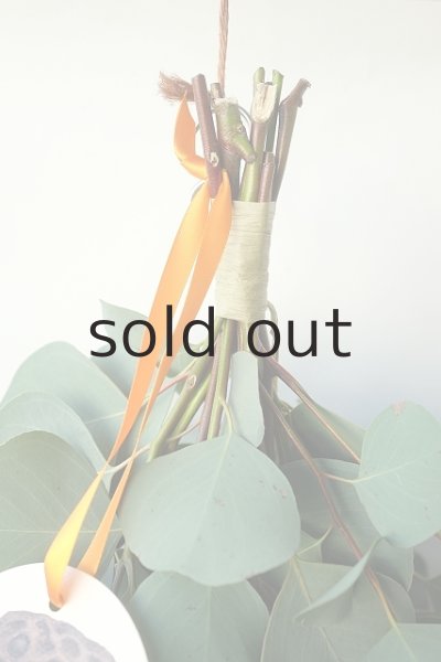 画像2: Dry plants for decor ユーカリポポラスシンプルスワッグ (2)