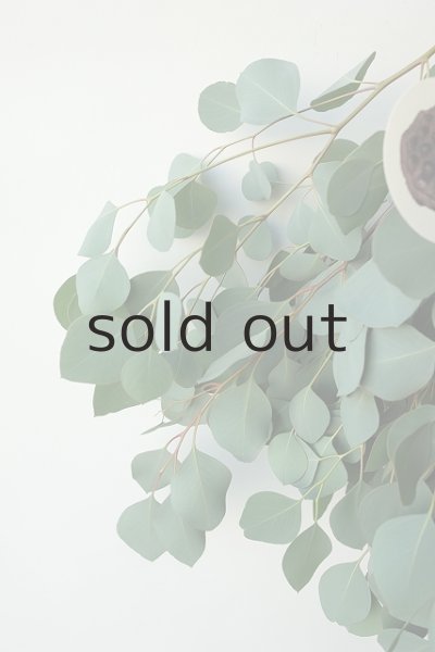 画像3: Dry plants for decor ユーカリポポラスシンプルスワッグ (3)