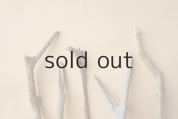 画像6: 小枝流木セット (6)