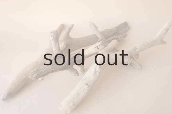 画像5: 小枝流木セット (5)