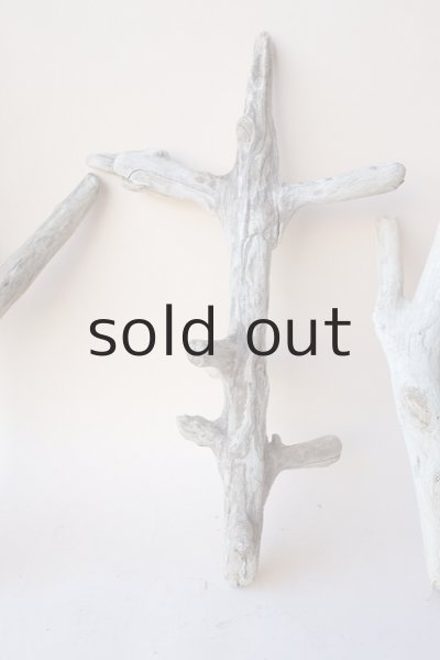 画像3: 小枝流木セット (3)