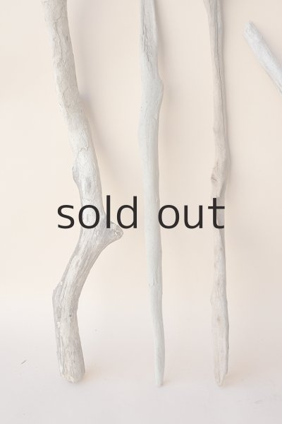 画像2: 小枝流木セット (2)