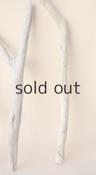 画像4: 小枝流木セット (4)