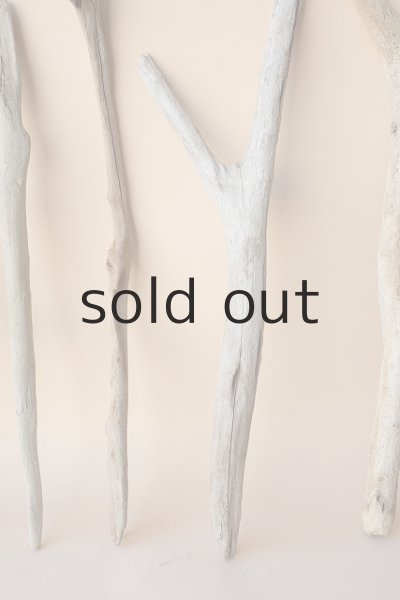 画像3: 小枝流木セット (3)