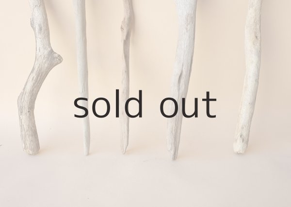 画像5: 小枝流木セット (5)