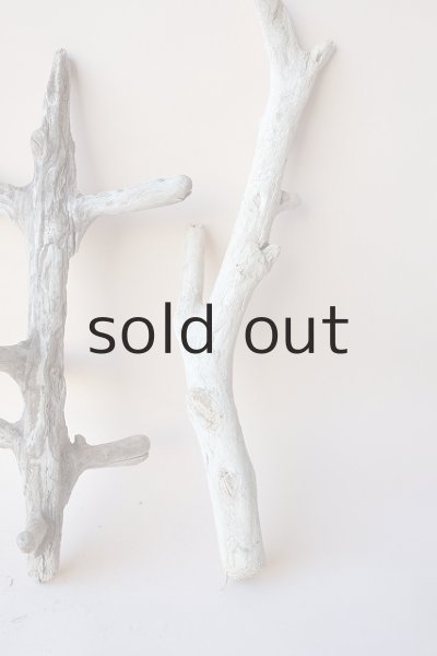 画像4: 小枝流木セット (4)