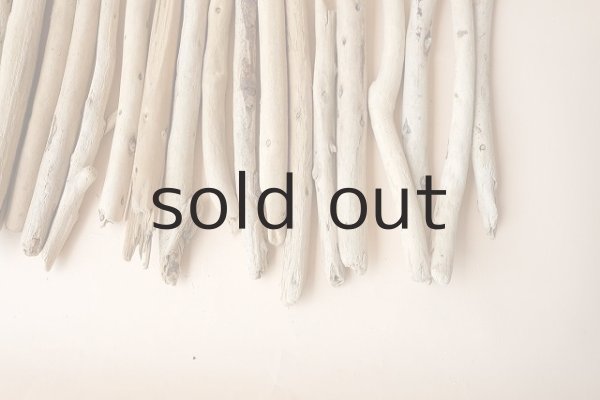 画像3: 小枝流木セット (3)