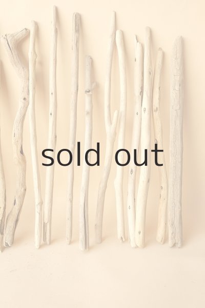 画像4: 小枝流木セット (4)