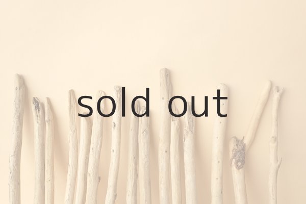 画像5: 小枝流木セット (5)