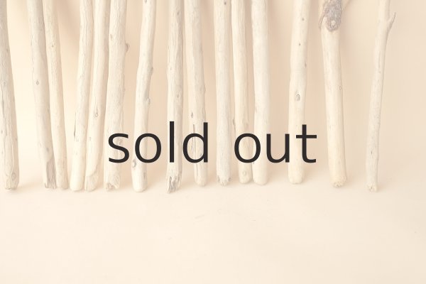 画像4: 小枝流木セット (4)