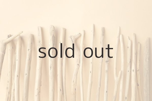 画像6: 小枝流木セット (6)