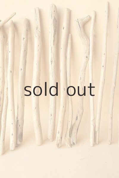 画像3: 小枝流木セット (3)