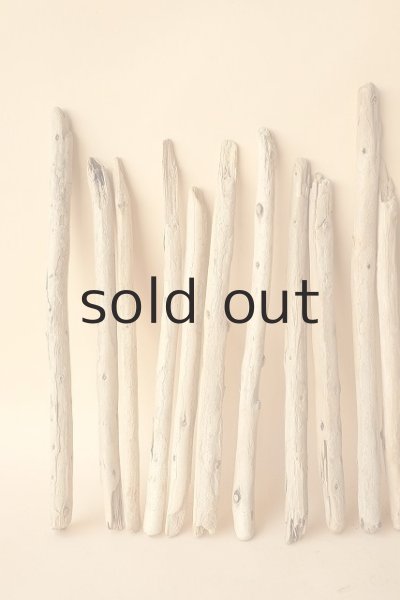 画像2: 小枝流木セット (2)