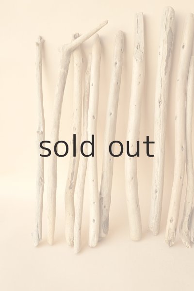 画像2: 小枝流木セット (2)