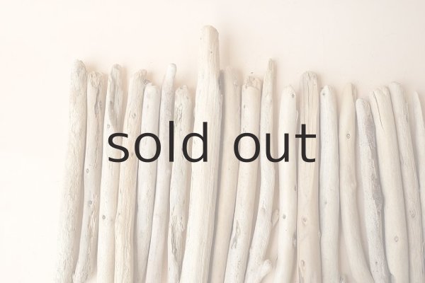 画像2: 小枝流木セット (2)