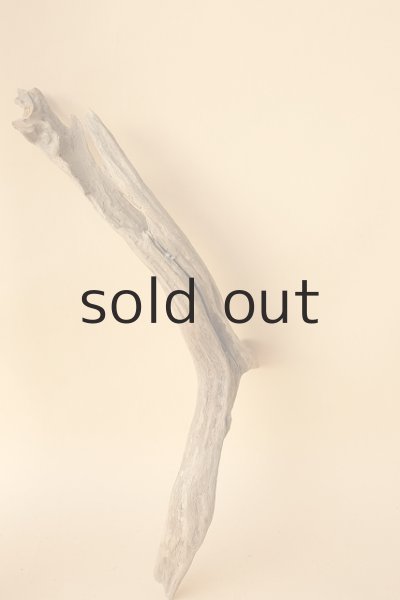 画像4: 変形流木 (4)