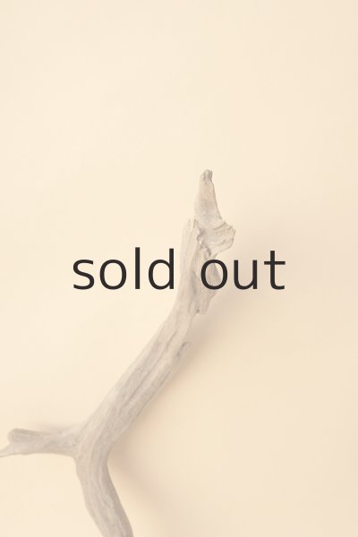 画像3: 変形流木 (3)