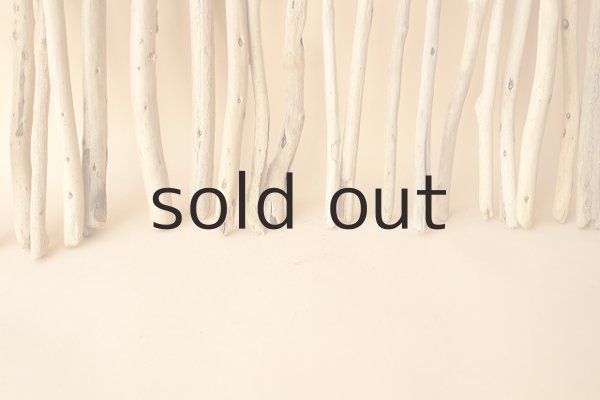 画像5: 小枝流木セット (5)