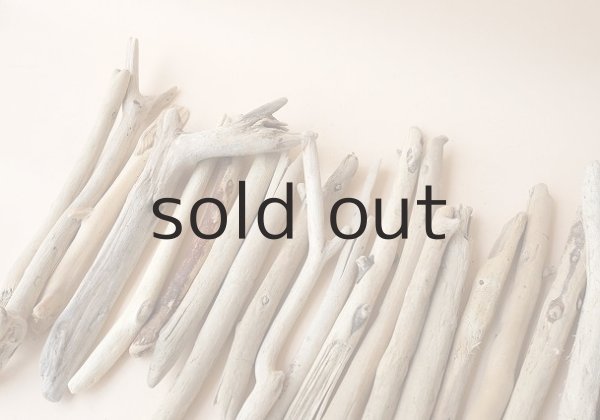 画像2: 小枝流木セット (2)