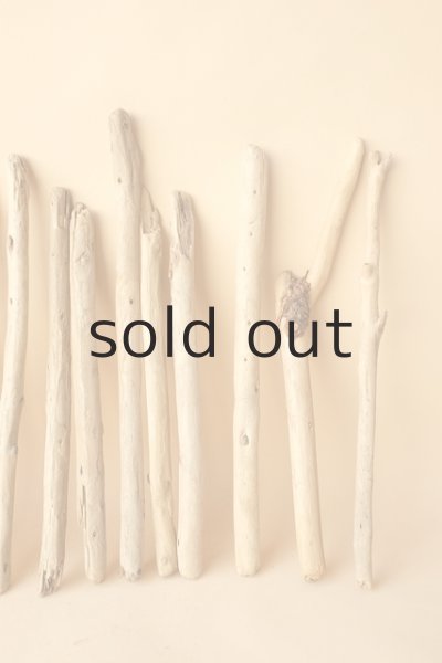 画像3: 小枝流木セット (3)