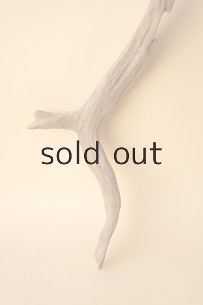 画像2: 変形流木 (2)