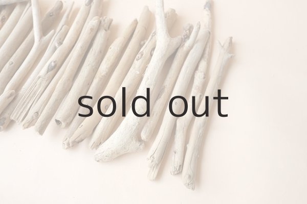 画像3: 小枝流木セット (3)