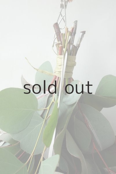 画像2: Dry plants for decor ユーカリ3種シンプルスワッグ (2)