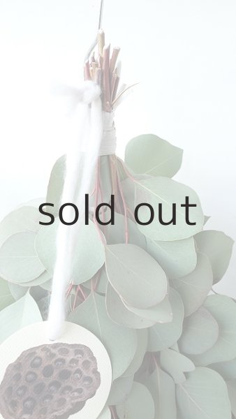 画像2: Dry plants for decor ユーカリポポラスシンプルスワッグ (2)