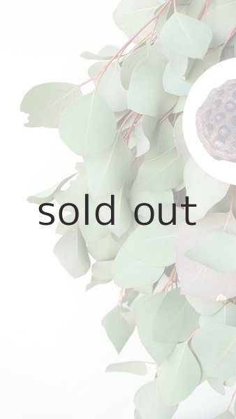 画像3: Dry plants for decor ユーカリポポラスシンプルスワッグ (3)