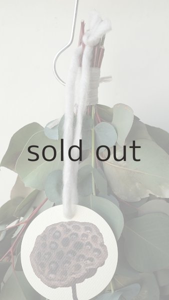 画像2: Dry plants for decor ユーカリ2種シンプルスワッグ (2)