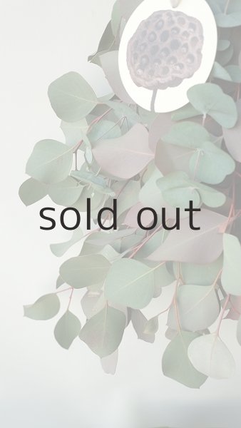 画像3: Dry plants for decor ユーカリ2種シンプルスワッグ (3)