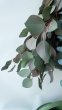 画像3: Dry plants for decor ユーカリ2種シンプルスワッグ (3)