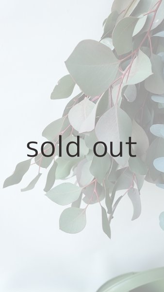 画像3: Dry plants for decor ユーカリ2種シンプルスワッグ (3)