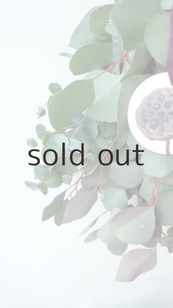 画像3: Dry plants for decor ユーカリ2種シンプルスワッグ (3)