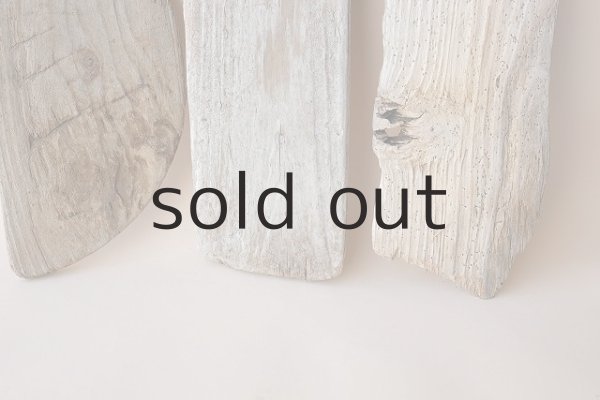 画像2: 板流木セット (2)