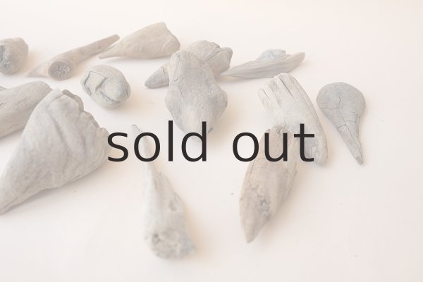 画像3: 変形流木セット (3)