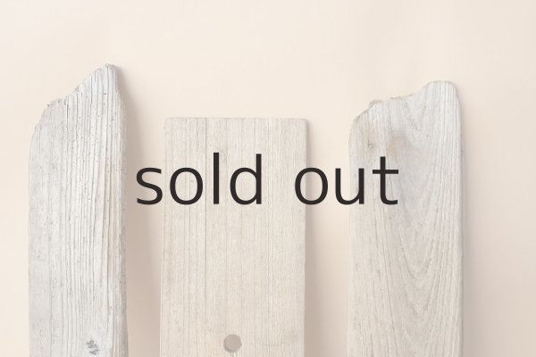 画像3: 板流木セット (3)