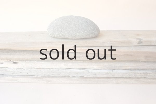 画像6: 板流木セット (6)