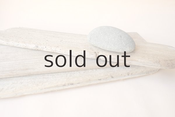 画像4: 板流木セット (4)