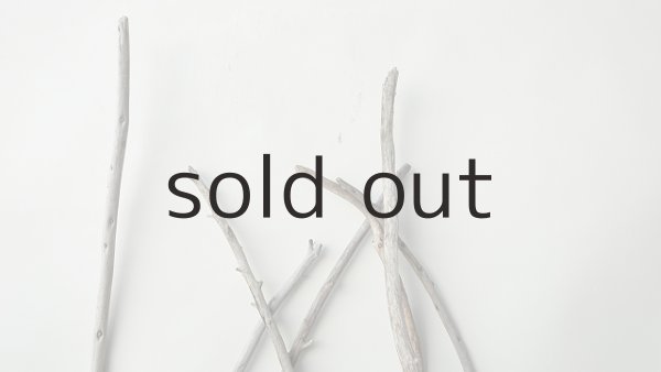 画像4: 棒流木セット（outlet） (4)