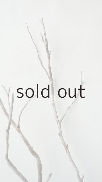 画像5: 枝流木 (5)