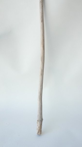 画像5: 枝流木セット（outlet） (5)