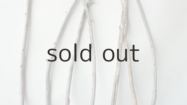 画像3: 棒流木セット（outlet） (3)