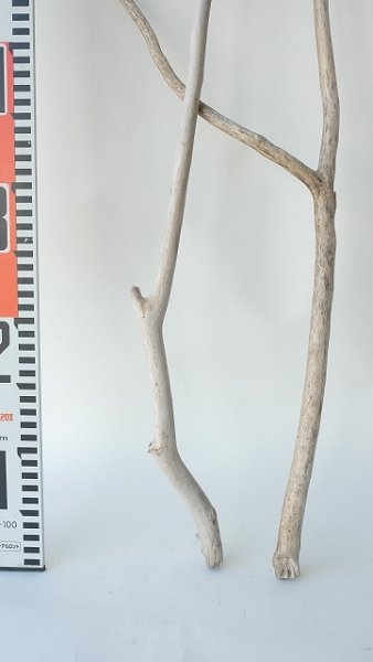 画像6: 枝流木セット（outlet） (6)