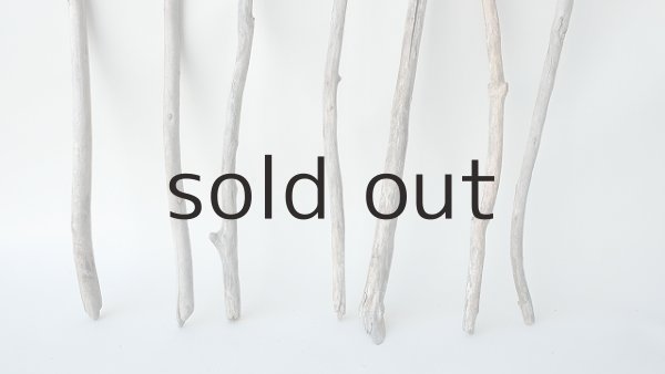 画像2: 棒流木セット（outlet） (2)